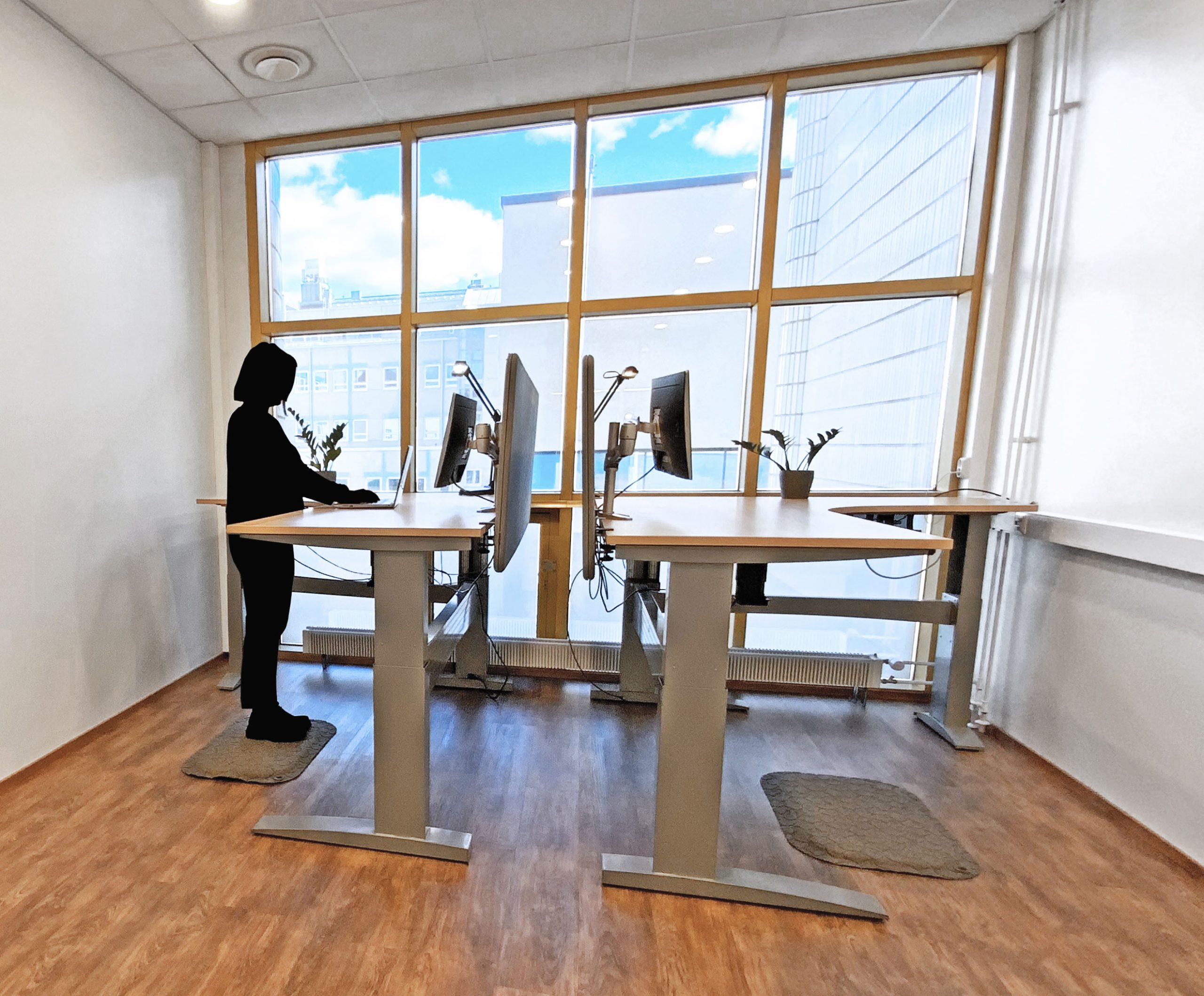 Working Space with electric standic desks